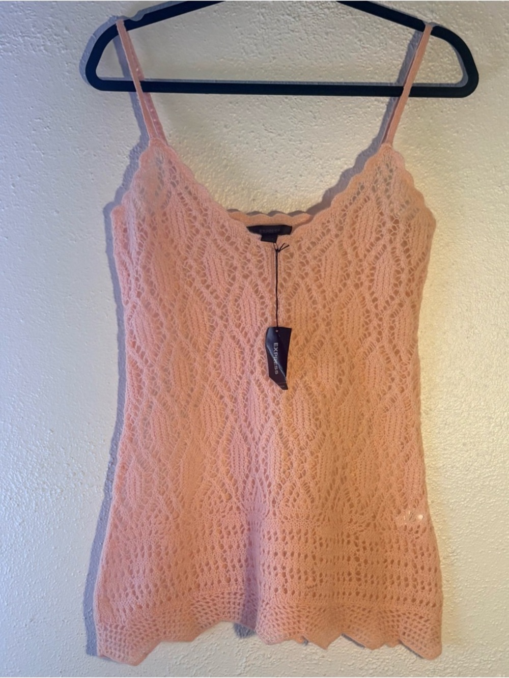 Express Pink Wool Nylon Mohair Feminine Fairy Top NWT Size L